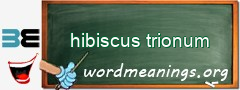 WordMeaning blackboard for hibiscus trionum